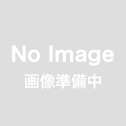 【波佐見焼 利左エ門窯】内外京十草　湯呑(大)